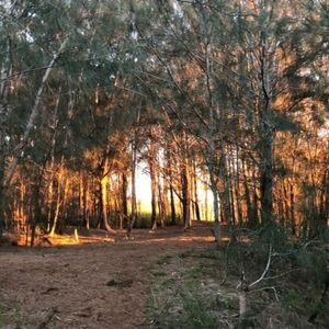 OFFERS WELCOME!! ❤